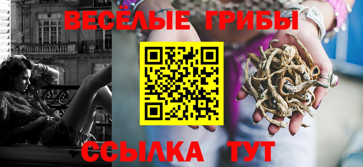 Псилоцибиновые грибы ЛСД Краснодар