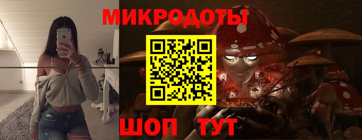 Псилоцибиновые грибы мицелий  Псилоцибиновые грибы Psilocybe  Вход с VPN  Краснодар 